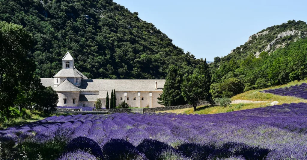 découvrez les meilleurs parcs de vacances dans le vaucluse pour un séjour inoubliable entre nature, confort et activités pour toute la famille.
