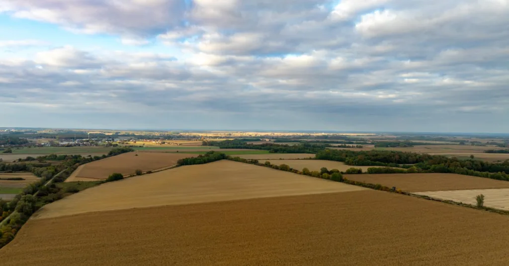 découvrez nos offres de terrains à vendre en charente-maritime, idéaux pour vos projets immobiliers ou d'investissement. opportunités à saisir dès maintenant !