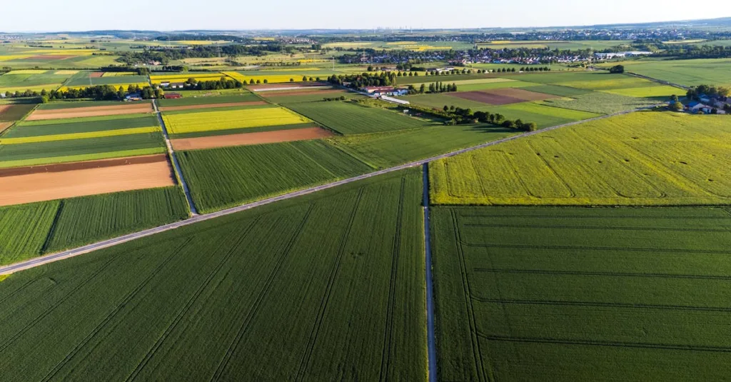 transfert de parcelles de terrain : procédures, conseils et informations essentielles pour une transaction sécurisée et efficace.