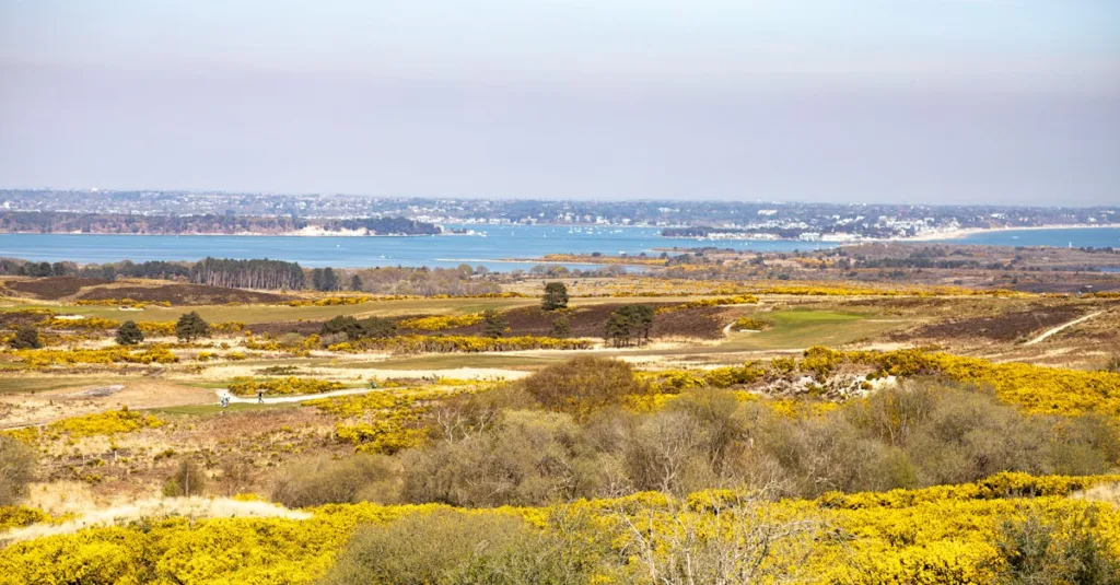 découvrez des opportunités d'achat de terrains à vendre dans le morbihan. trouvez le terrain idéal pour votre projet immobilier en bretagne.