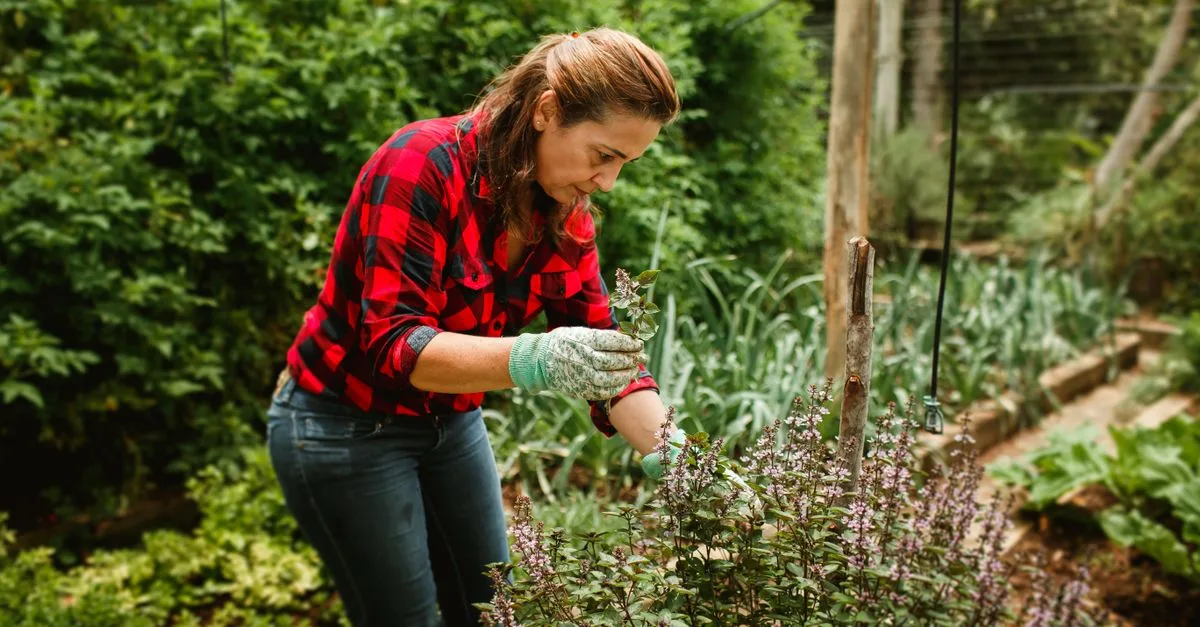 découvrez des conseils pratiques et faciles pour tailler vos plantes efficacement et favoriser leur croissance saine toute l'année.